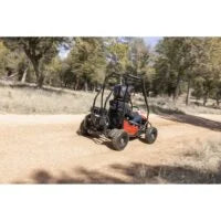 Coleman Powersports GK100 One-Seater Go Karts