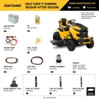 Cub Cadet XT2 SLX54 54 in Residential Ridings Mowers (13A5A2TMA10)