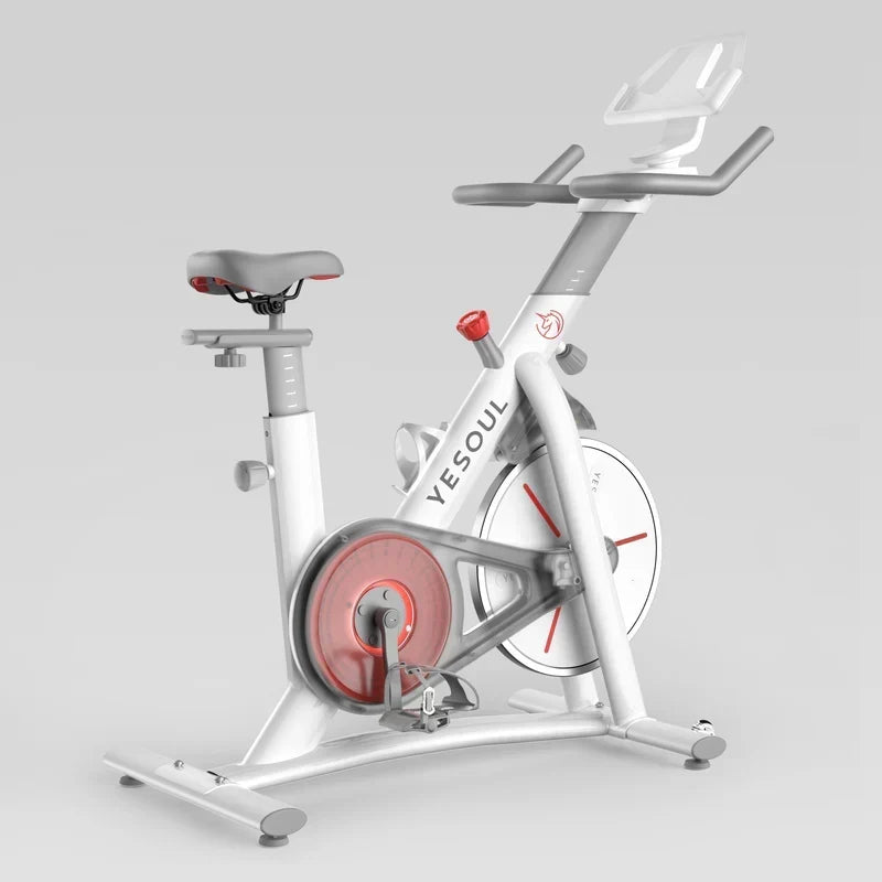 Yesoul S3 Indoor Exercise Bike Smart Black Cycling Bike Magnetic Stationary Bike Low Noise Indoor Cycling Bike for Home Gym Electric Stationary Bike