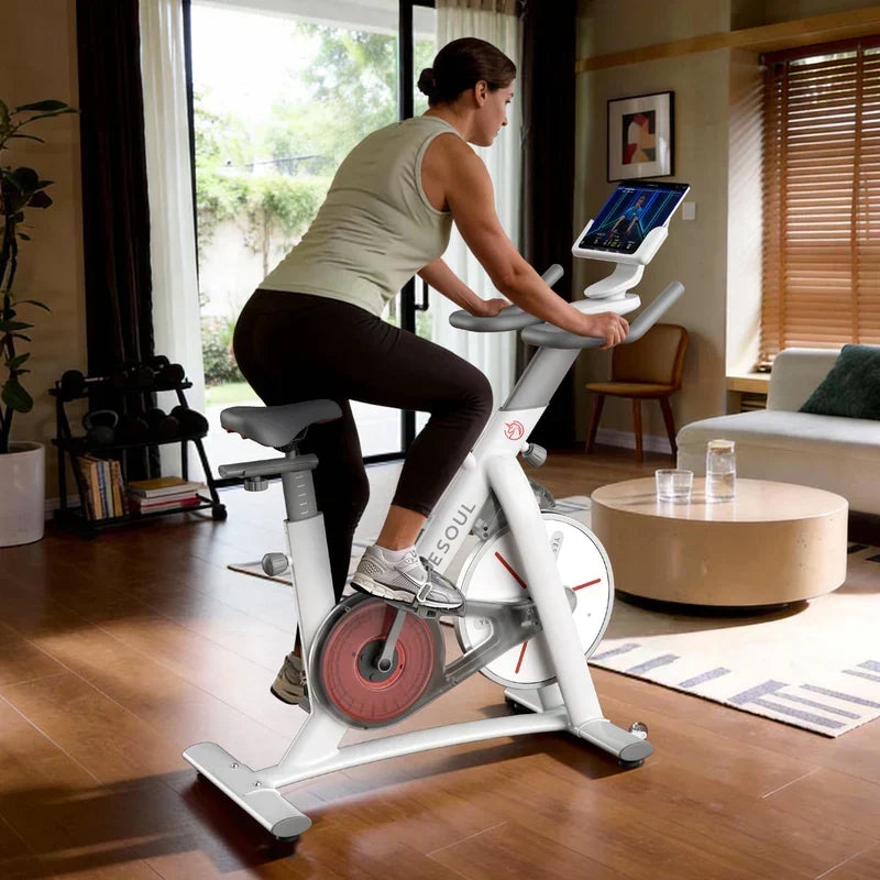 Yesoul S3 Indoor Exercise Bike Smart Black Cycling Bike Magnetic Stationary Bike Low Noise Indoor Cycling Bike for Home Gym Electric Stationary Bike