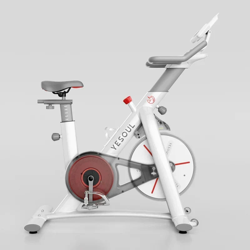 Yesoul S3 Indoor Exercise Bike Smart Black Cycling Bike Magnetic Stationary Bike Low Noise Indoor Cycling Bike for Home Gym Electric Stationary Bike