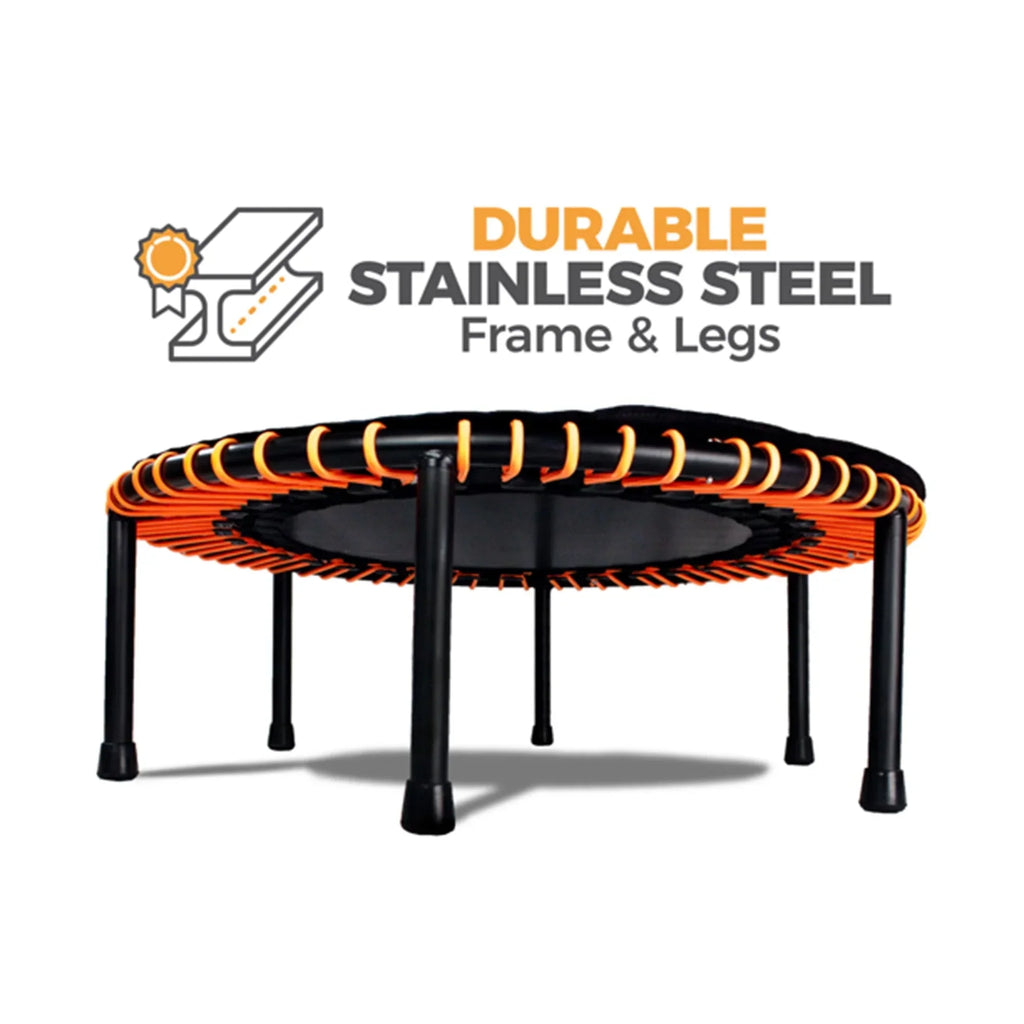 The Leaps & ReBounds Fitness Trampoline - Bungee Rebounder