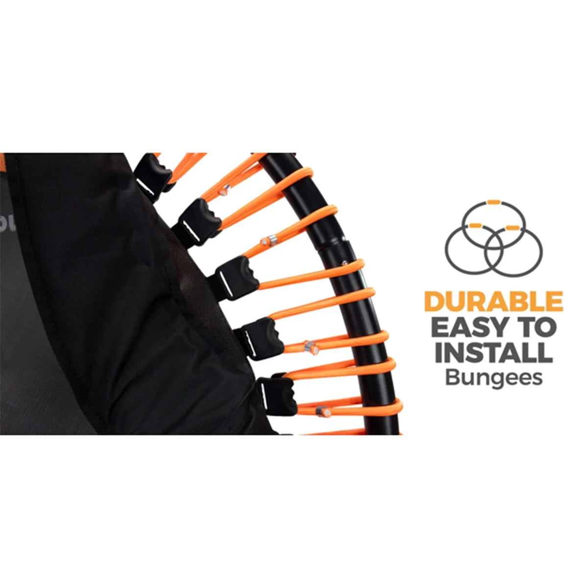 The Leaps & ReBounds Fitness Trampoline - Bungee Rebounder
