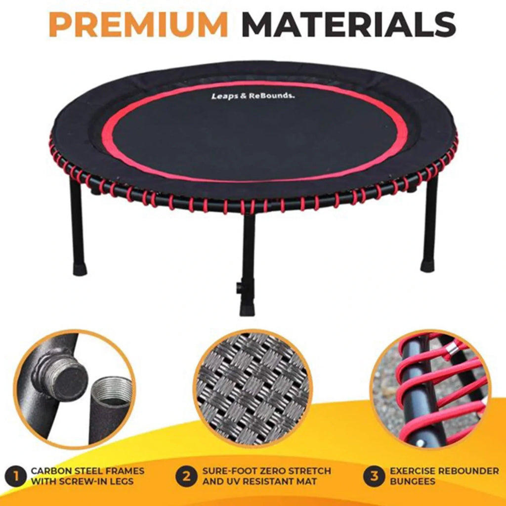 The Leaps & ReBounds Fitness Trampoline - Bungee Rebounder
