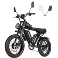 Ridstar Q20Pro 2000W Fat Tire Electric Bicycle - Electric Bike