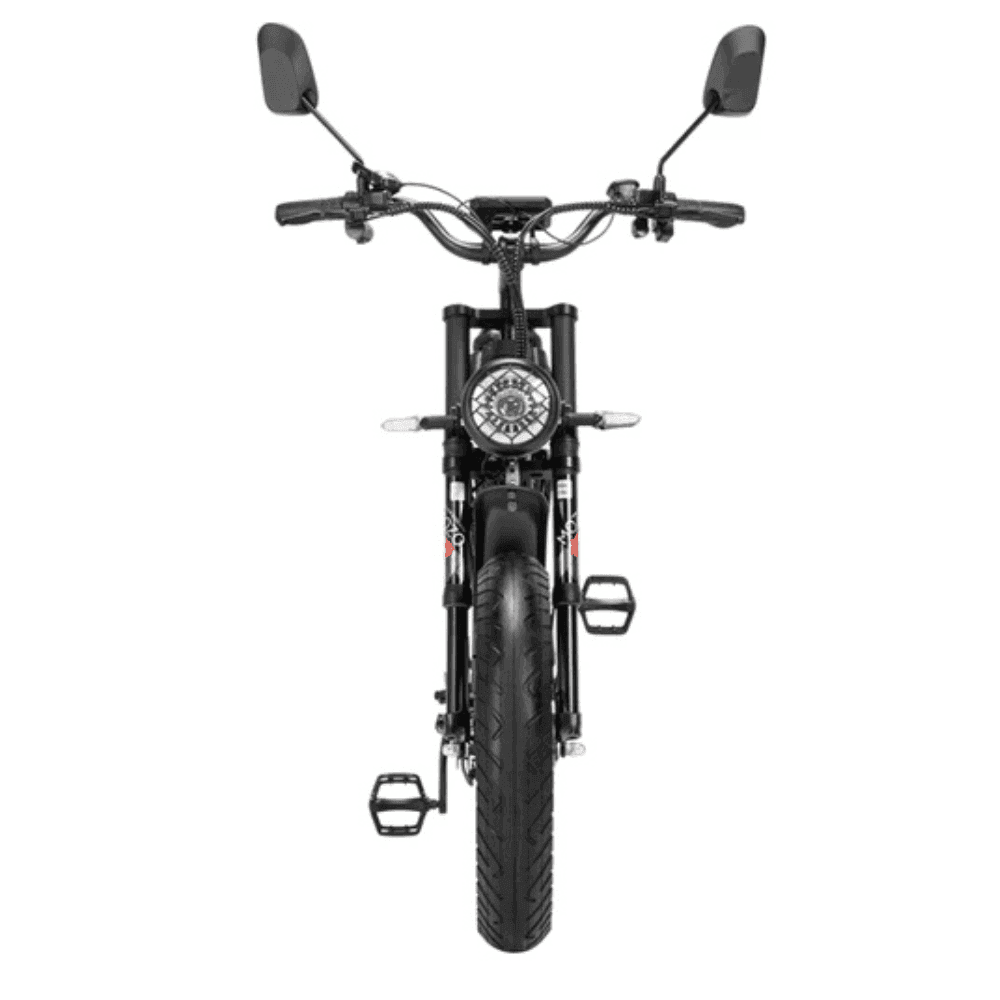 Ridstar Q20Pro 2000W Fat Tire Electric Bicycle - Electric Bike
