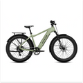 Aventon Aventure 3 - Electric Bike