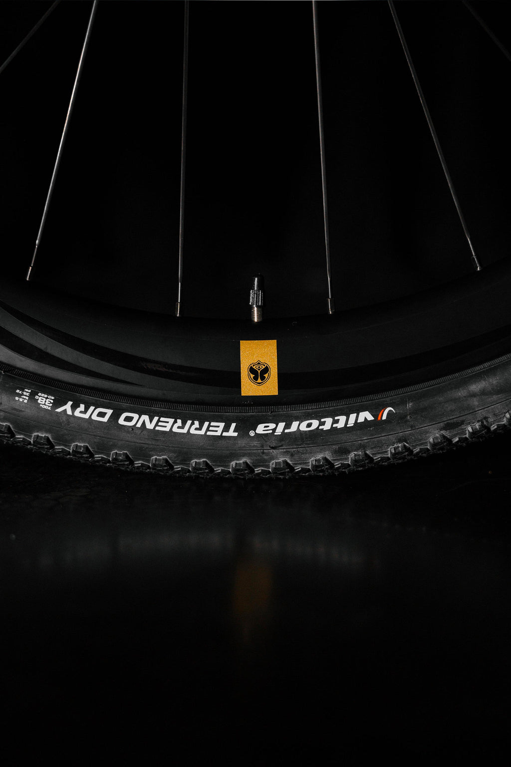 TML x RIDLEY INVENIO GRAVEL CARBON